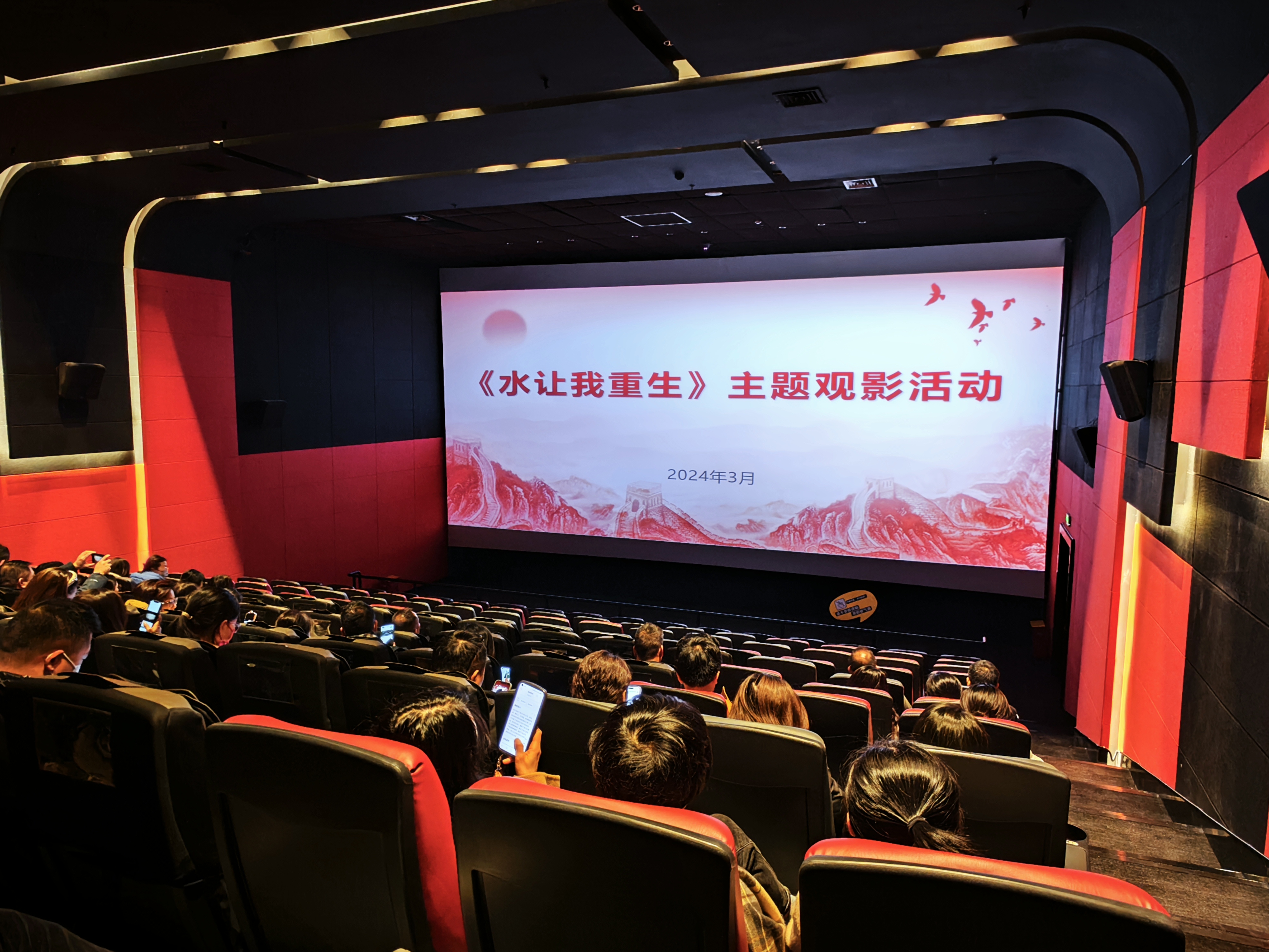 1710903181592658.jpg 觀影.jpg